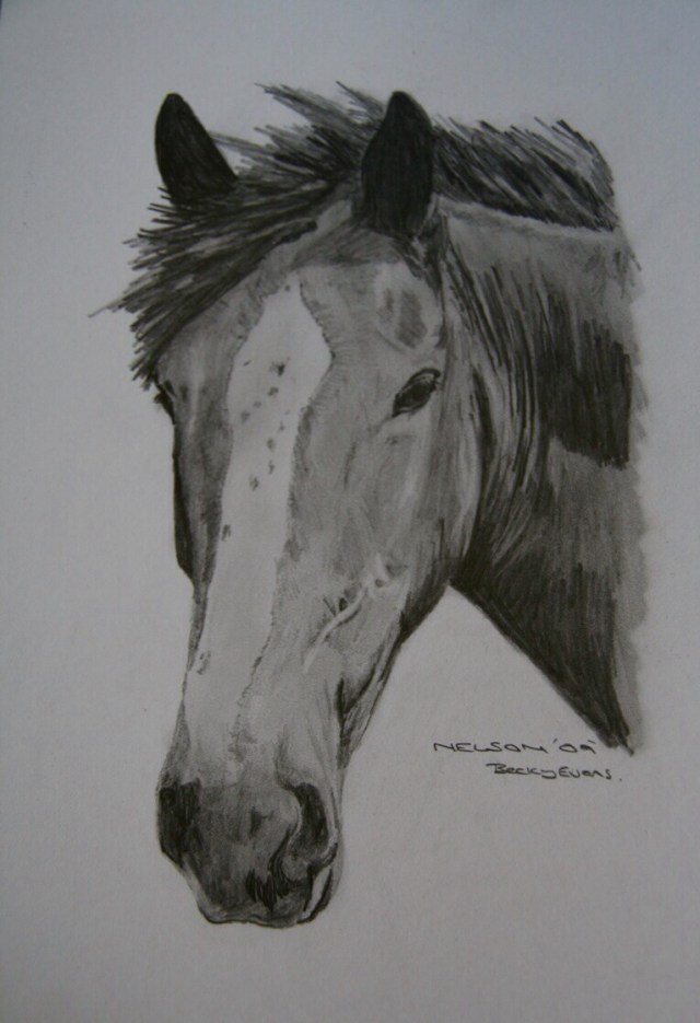 Nelson pencil drawing