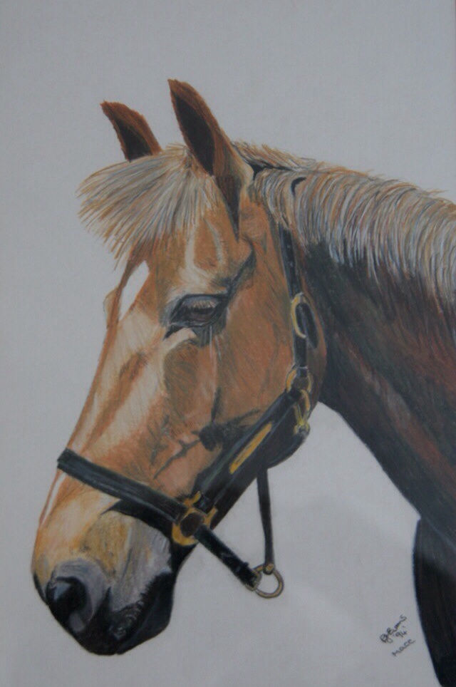 Mace in coloured pencil