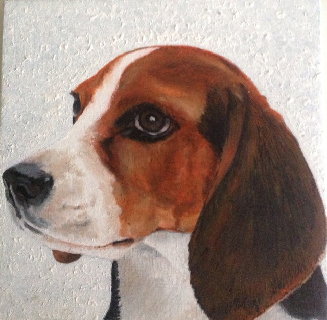 Beagle in acrylic