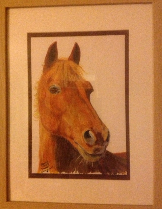 Paddy in coloured pencil