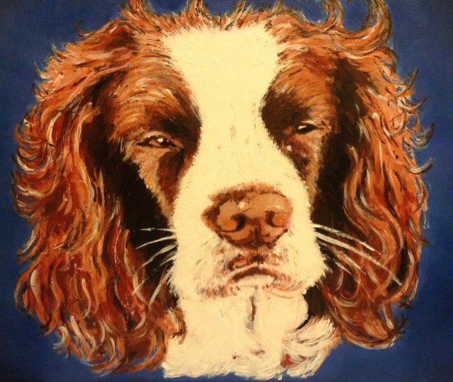 Spaniel acrylic