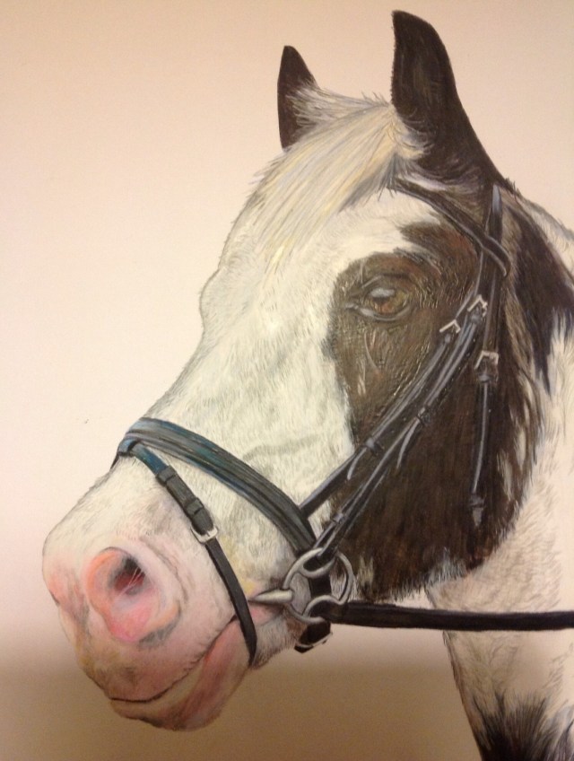 Struggles coloured pencil