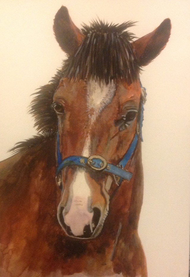 Woody in watercolour