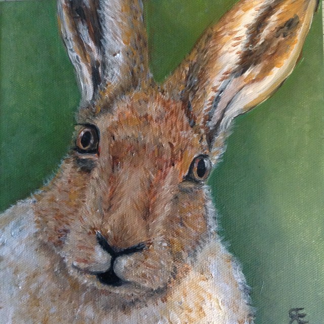 Hare stare oil paint