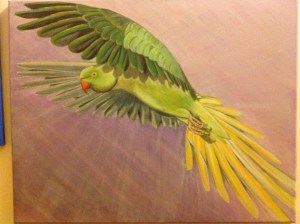 The escape parakeet oils