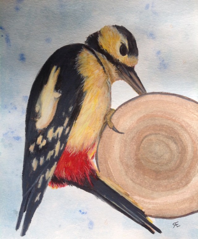 Red woodpecker watercolour and caran dache neocolor original picture photographed by my friend 'Jamie Russel' Mude photography