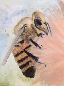 Study of a bee.... Not sur about this? Watercolour and wax pastels