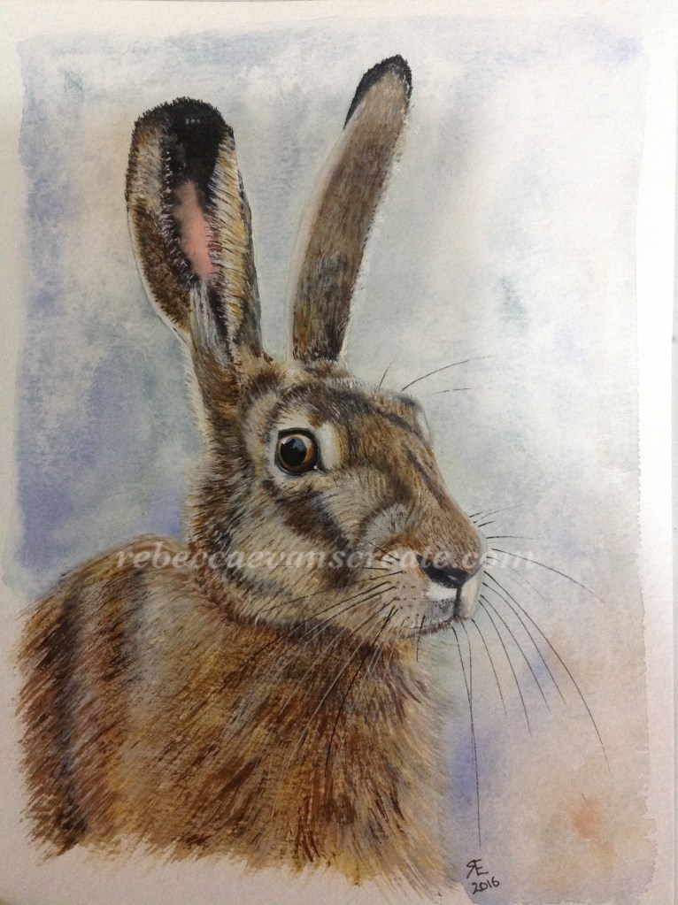 Watercolour hare painting rebecca evans create art