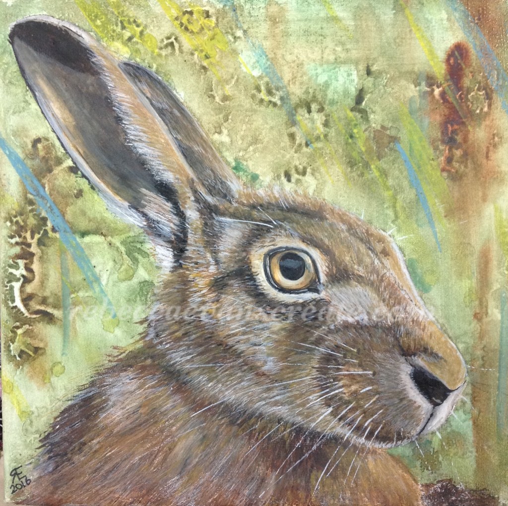 Hare mixed media