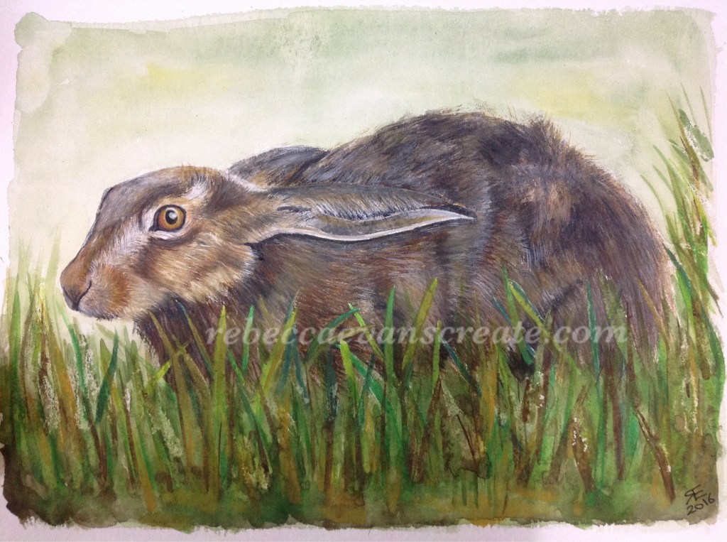 Hare in grass painting watercolour