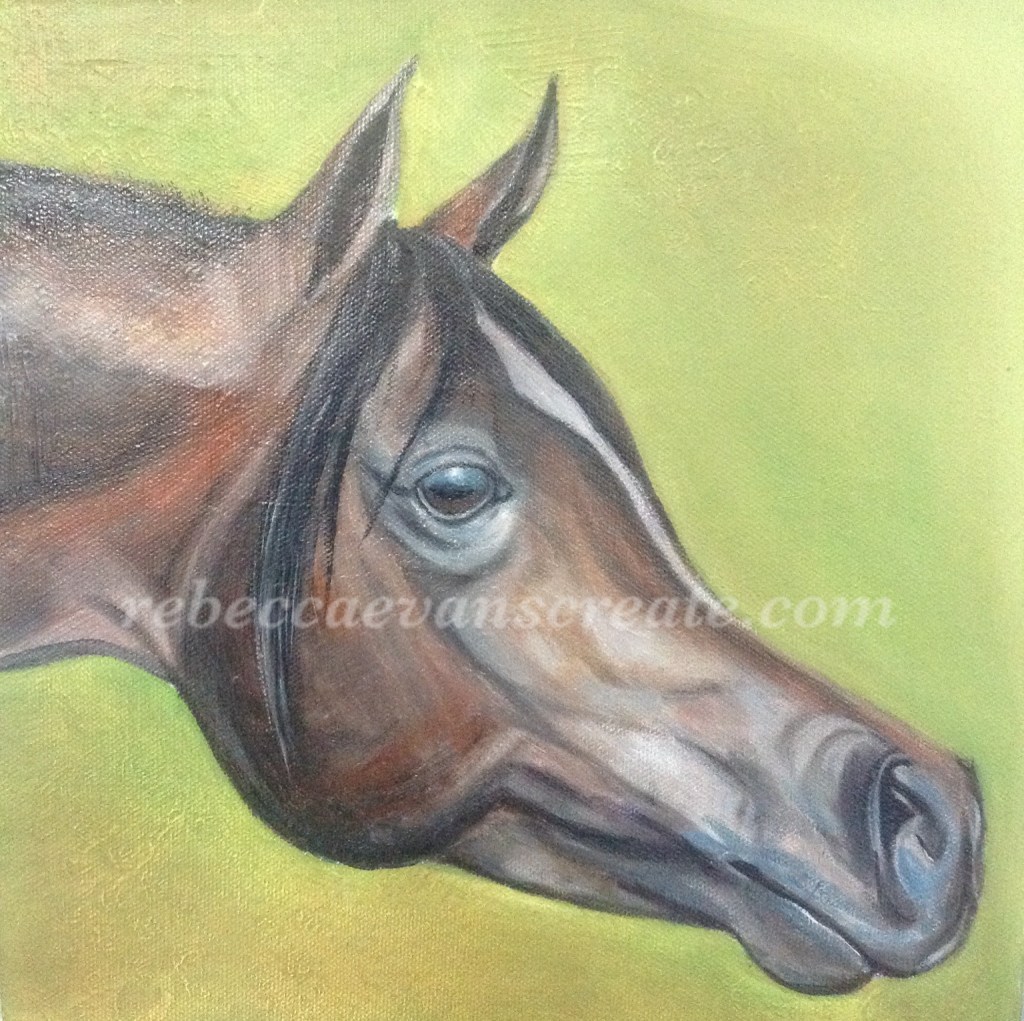 Arab horse head oil painting rebecca evans create art