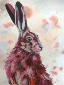 Female hare, watercolour and neocolor