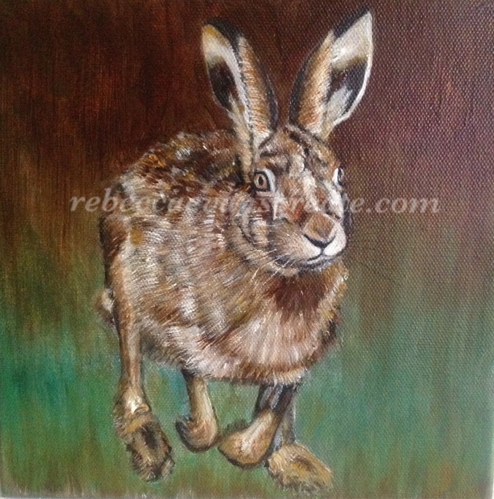 Hare running oil painting rebecca evans create art