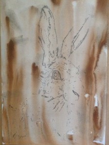 Rivulet technique Susan Avis Murphy Watercolour and pen Hare