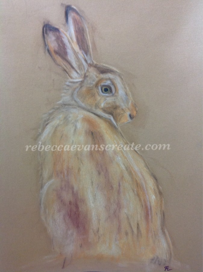 Hare in pastel rebecca evans create art