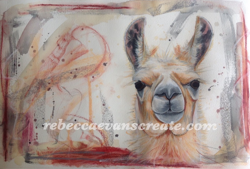 Llama watercolour and pastel painting rebecca evans create art