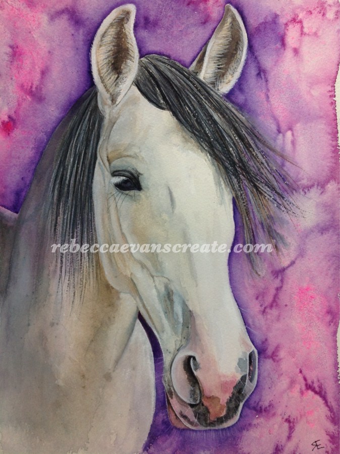 Watercolour horse Andalusian rebecca evans create art