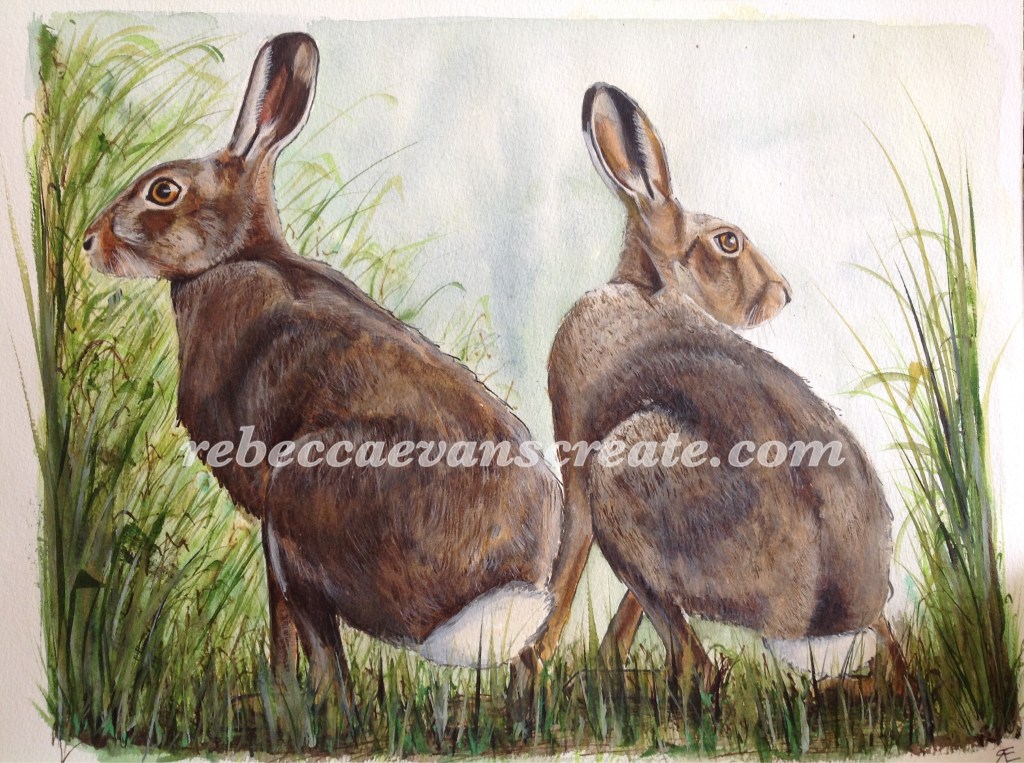 Watercolour hares, rebecca evans create art