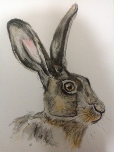 Watercolour hare, traditional tube watercolour paints and pen, to ink outlines