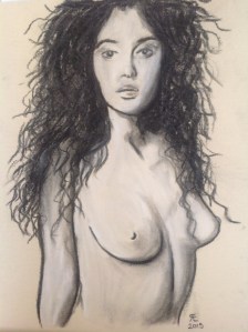 WONDER willow charcoal and white derwent tinted charcoal on daler rowney pastel card