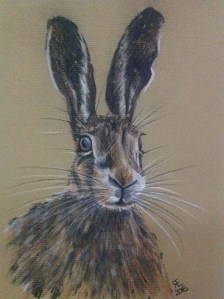ALERT AND READY willow charcoal and derwent tinted charcoal on daler rowney pastel