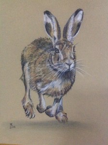 THE RUN- willow charcoal and derwent tinted charcoal, on daler rowney pastel