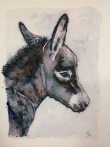 Blue Moon Watercolour new born donkey foal