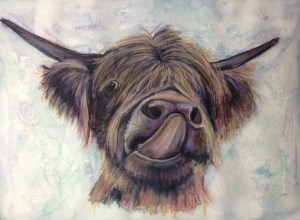 Liptastic - Highland cow in watercolour and caran dache neocolor