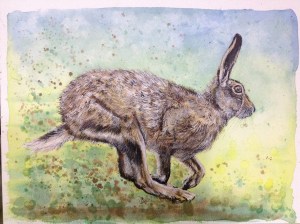 'lyric' watercolour hare