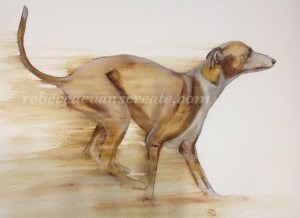 Watercolour greyhound 'sinbad'