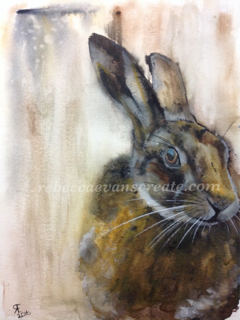 Hare watercolour rebecca evans create art