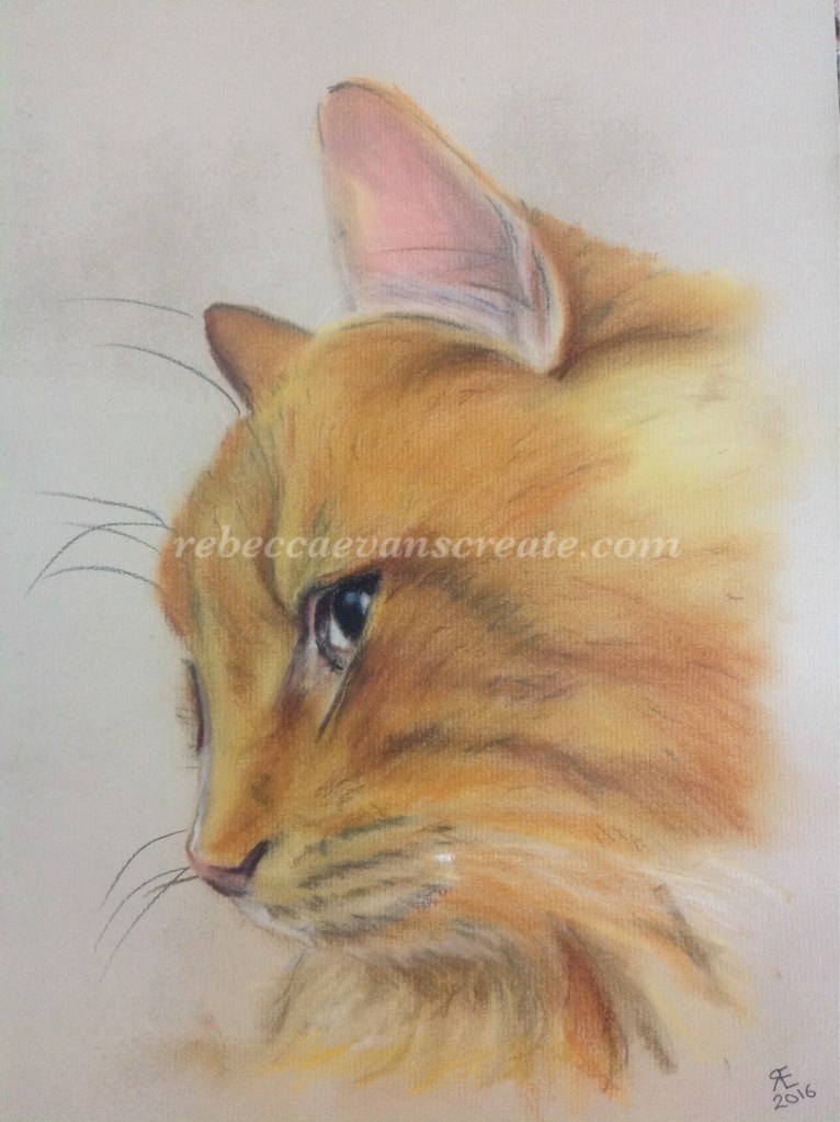 Pastel painting ginger cat rebecca evans create art