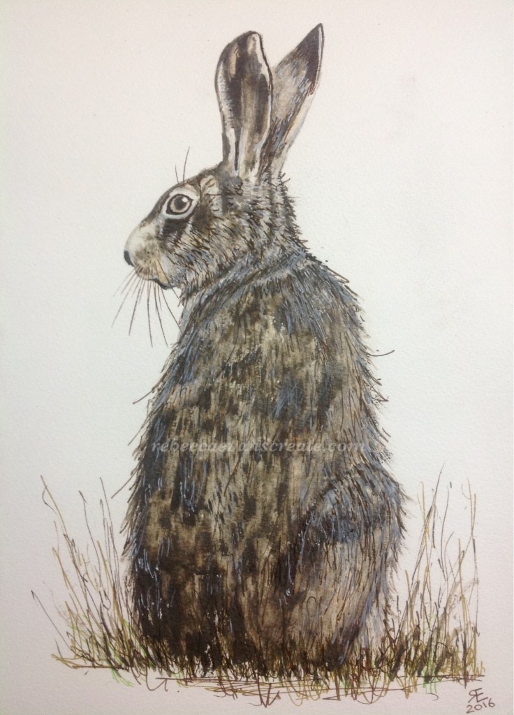Liquid pencil hare and liquid acrylic painting