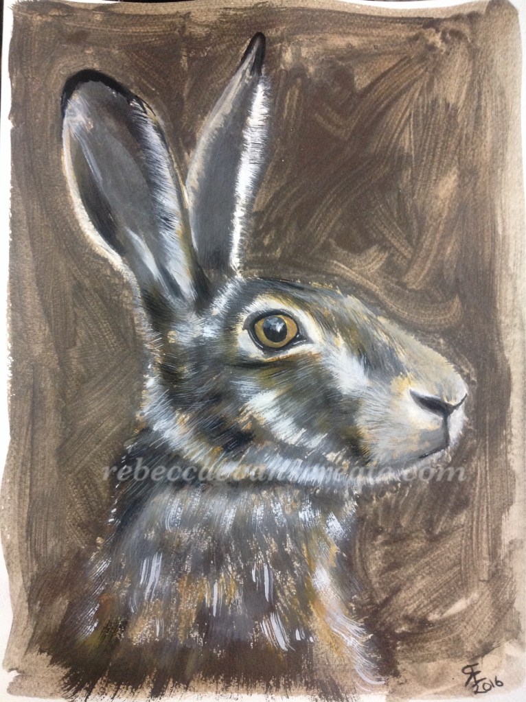 Liquid pencil and watercolour hare painting