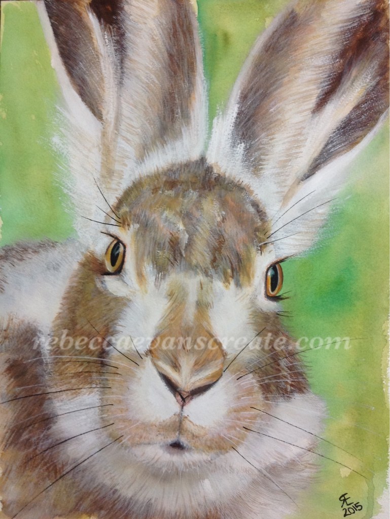Watercolour hare