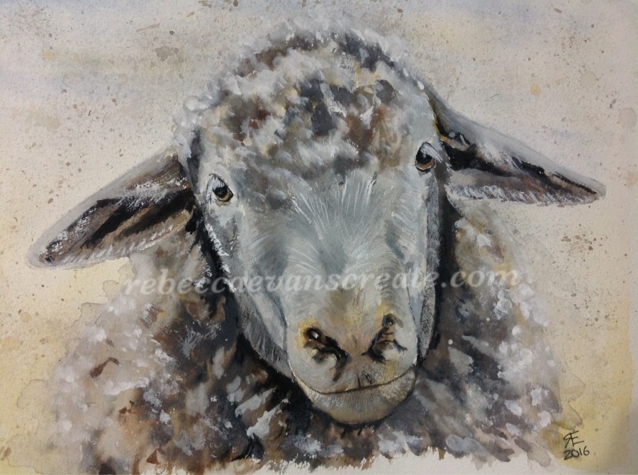 Sheep watercolour painting rebecca evans create art