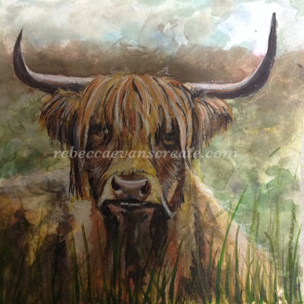Otis highland cow painting ms trust rebecca evans create art
