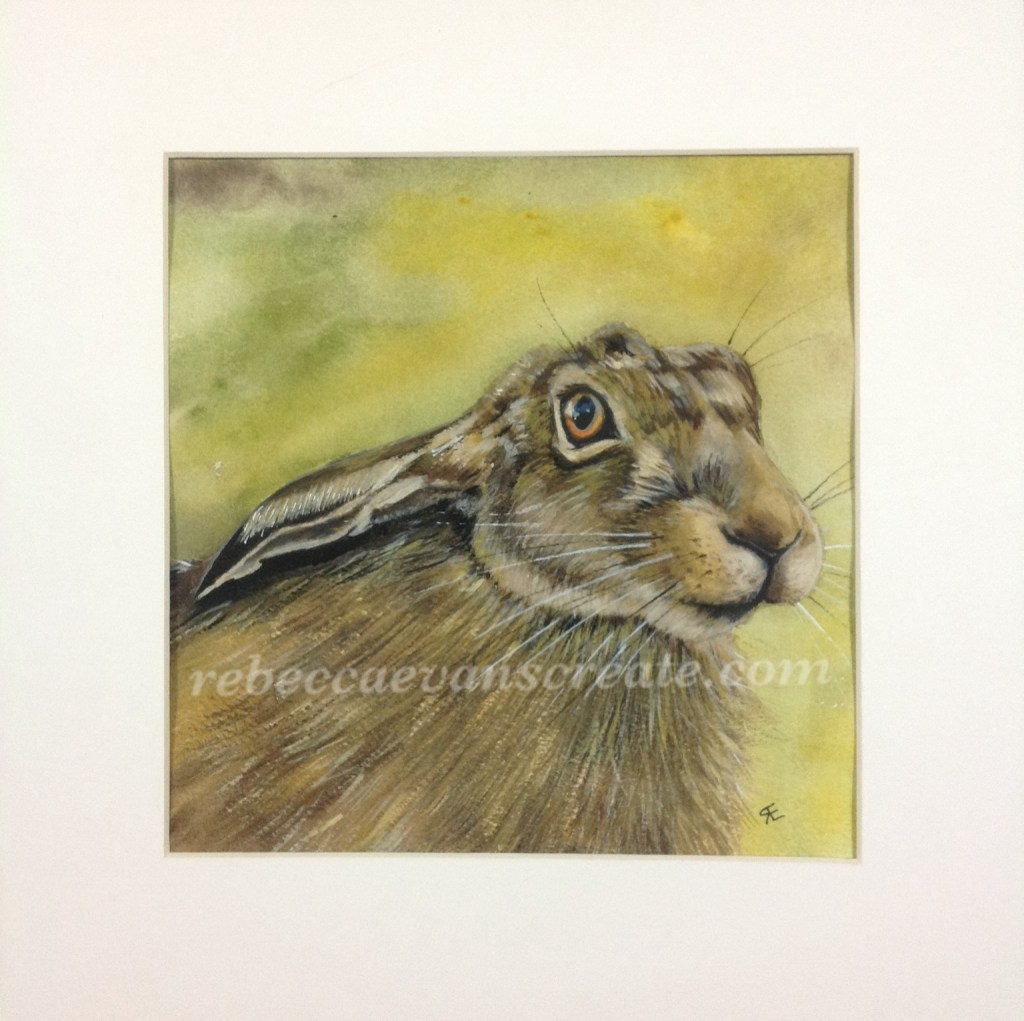 Watercolour hare painting rebecca evans create art