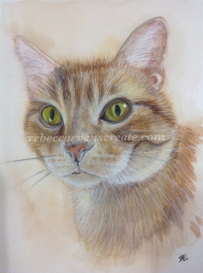 Watercolour ginger cat painting rebecca evans create art
