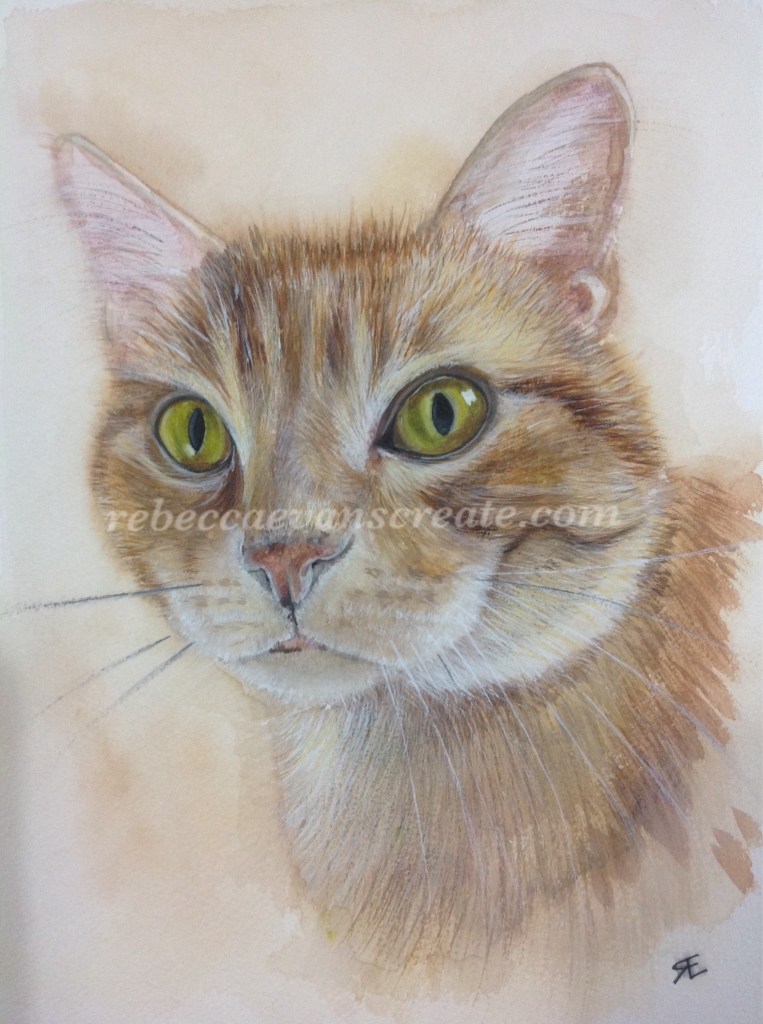 Watercolour ginger cat painting rebecca evans create art