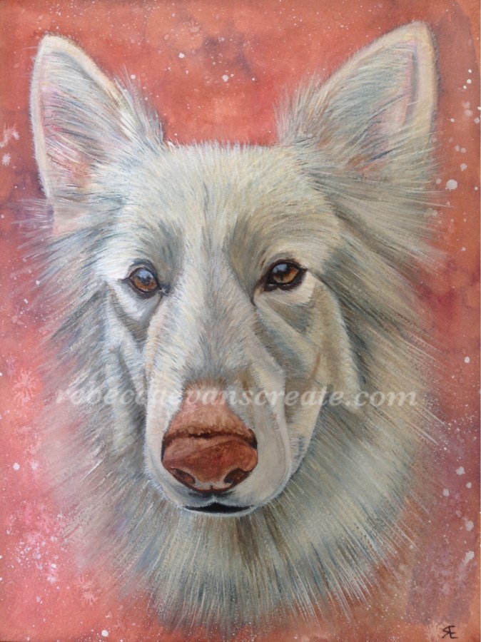 Watercolour dog painting rebecca evans create art
