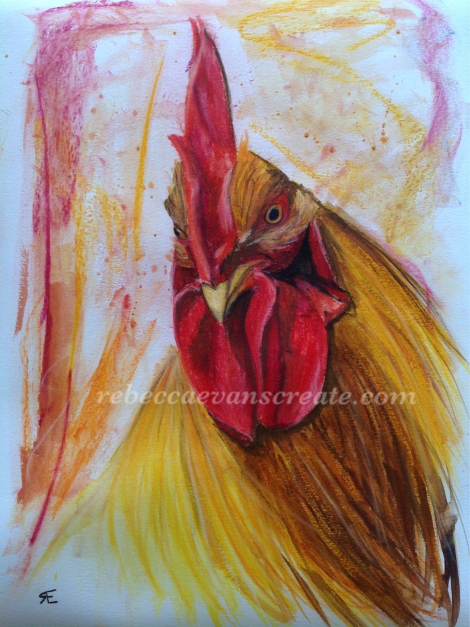 Cock painting watercolour and pastel rebecca evans create art