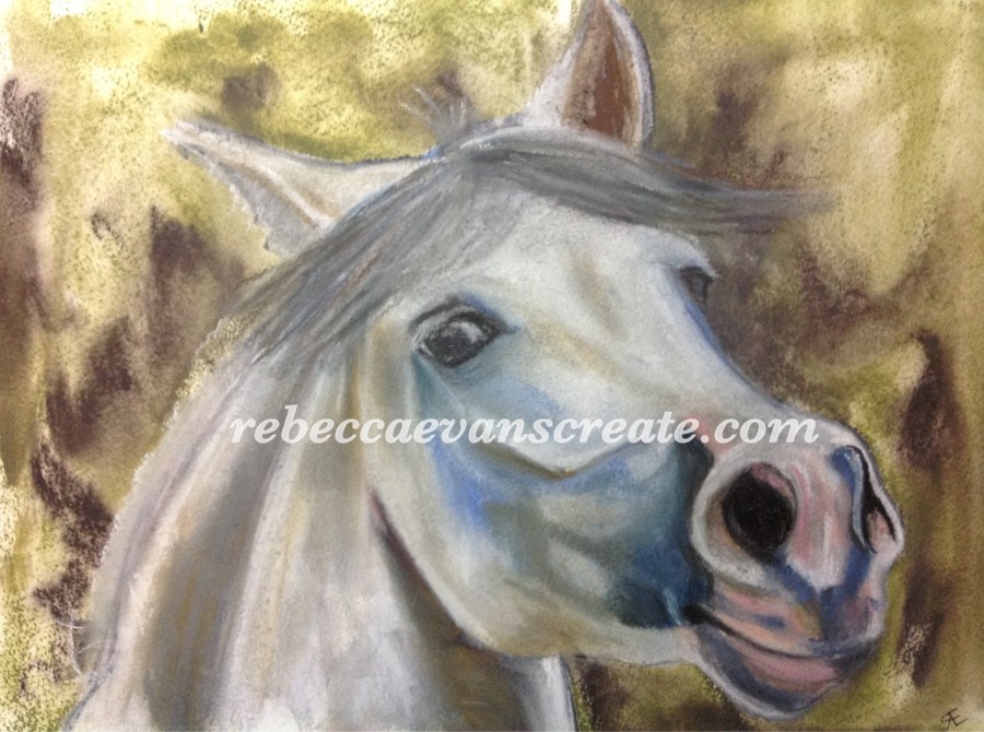 'What me' Artgraf and pastel horse A3 Rebecca evans create art