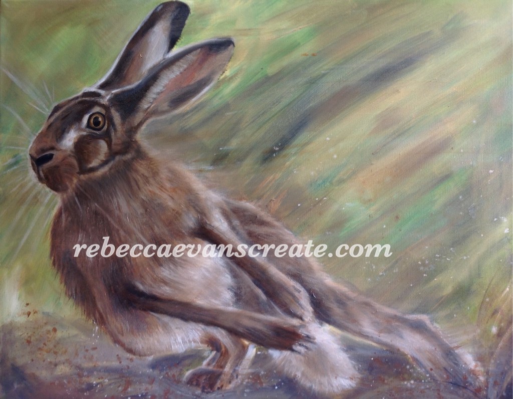'Hightail it' oil hare on canvas, photo reference with thanks from Mike Rae.Rebecca evans create art