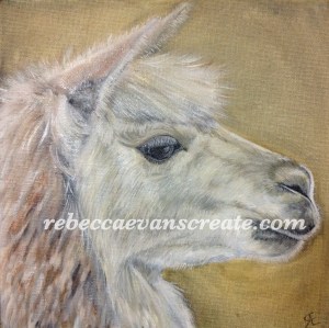 'Llama' oil painting 20cmx20cm