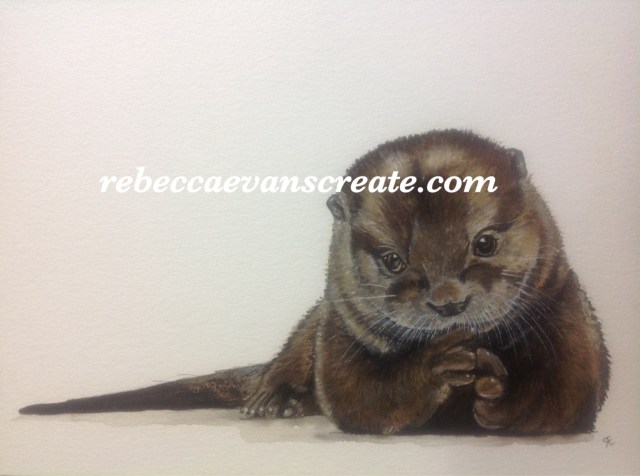 'Otis the otter' rebecca evans create art watercolour #naturedoodlewash