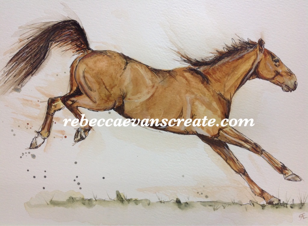 'Chico' ink and watercolour A4 Rebecca evans create art