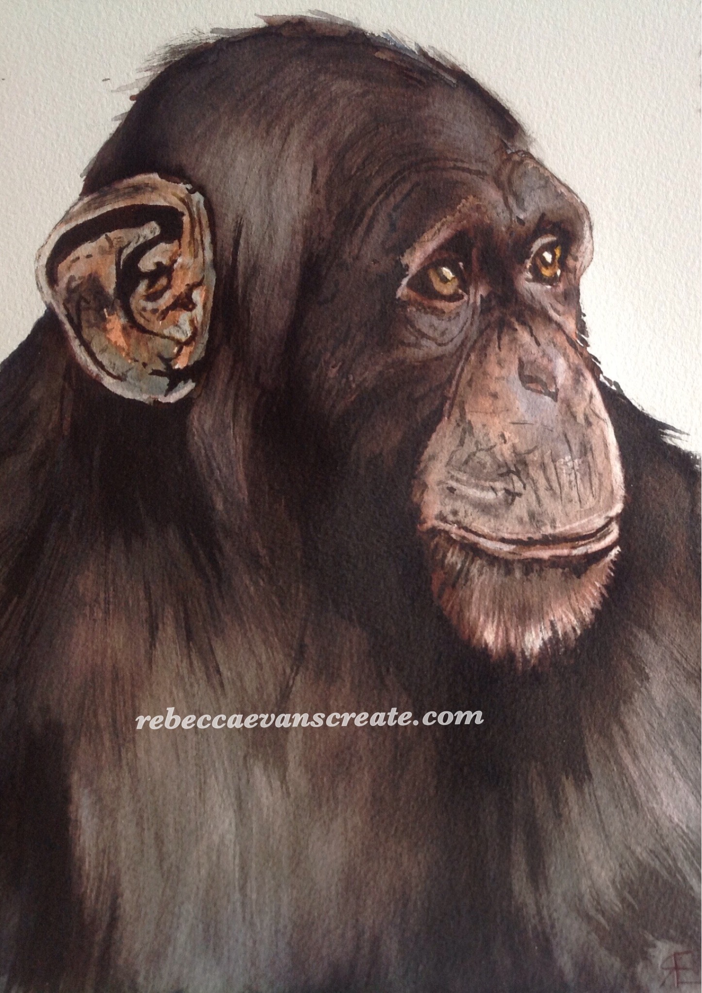 Save the chimp….ink and bleach painting | RebeccaEvans Create