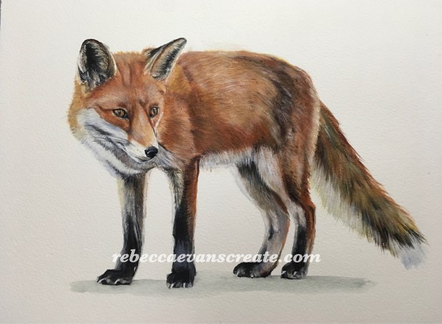 ‘Dutiful’ watercolour on 12x9” 140lb coldpress