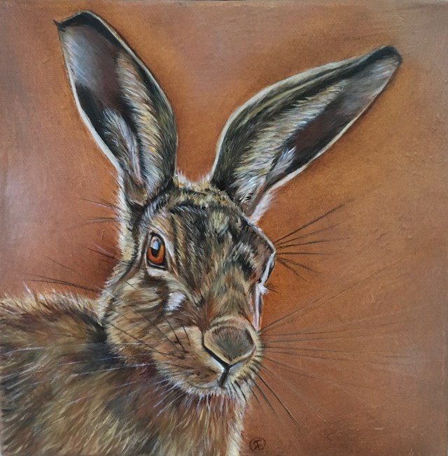 ‘Henrick’ oil hare 20x20 cm for oakhaven hospice charity auction twenty/20 during Hampshire open studio August 2018. Bid for your chance to win by contacting the fundraising department at oakhaven hospice. Photograph reference by Warren Etherington, many thanks.